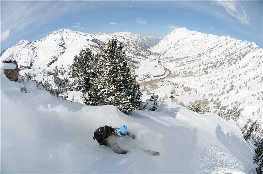 The Snowpine
